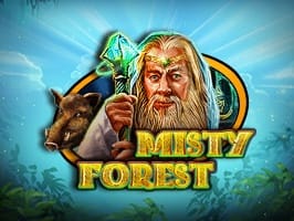Misty Forest thumbnail