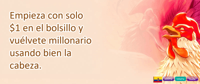 Bono de Bienvenida Real promotion